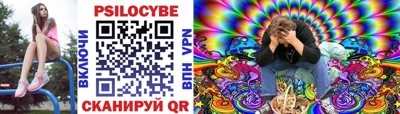 хочу наркоту  Покров  Галлюциногенные грибы Cubensis 